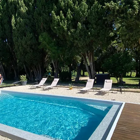 Les Cypres De L'ile * Avignon